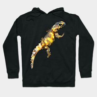 Armadillo Girdled Lizard Hoodie